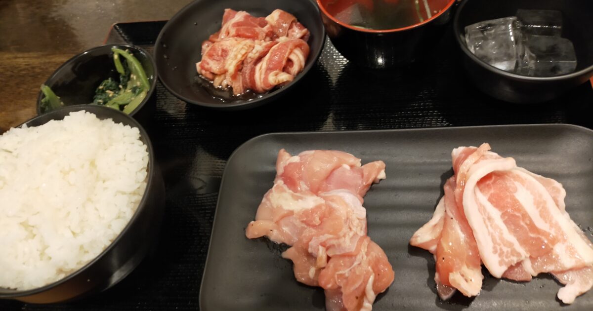 豚肉とごはん味噌汁付きの焼肉定食セット
